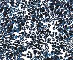 Tela de Punto Sintético Spandex Support - Print De Leopardo Con Manchas